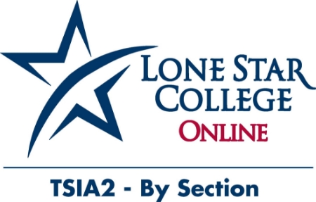 Picture of TSIA2 - By Section  (Lone Star students only)